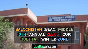 Balochistan (BEAC) Middle (8th) Annual Result 2018 Quetta - Winter Zone