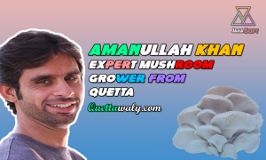 Amanullah Khan Expert Mushroom Grower from Quetta